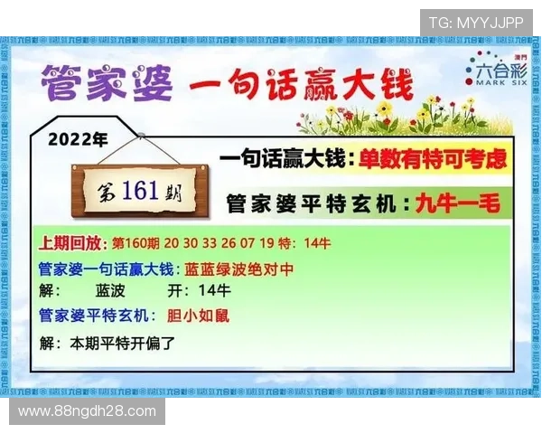 2025年澳门六开奖结果查询网站及下载指南